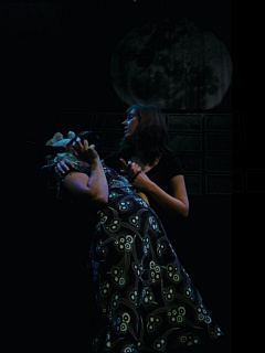 DSCI0023
&nbsp;Select this image to see a larger version. 